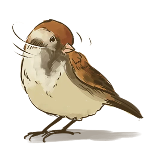 sparrow, burung pipit, burung pipit, sparrow chirik, anime sparrow chiric