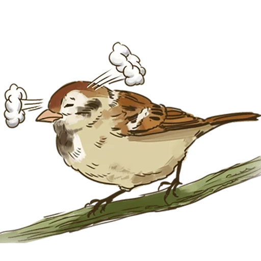 sparrow, vorozhushki, sparrow of children, sparrow bird
