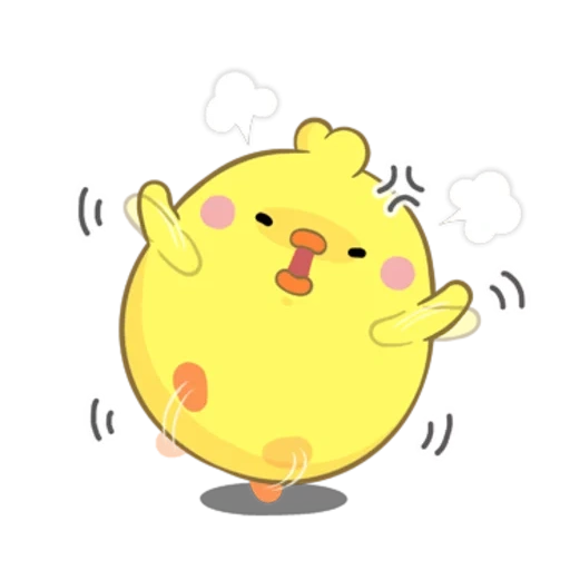 chick, chick lindo, pollo chuanjing, chick amarillo, pollo morang