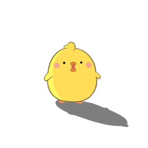 chick, pollo amarillo, chick lindo, pollo chuanjing, chick amarillo