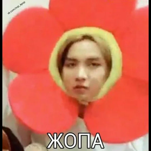 hosok, giovane donna, hoseok bts, cherry bcmm, tranne meme bts