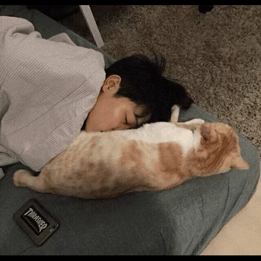 bts jimin, bts suga cat, anak itu lucu, park ji min tertidur, park ji min tidur sangat manis