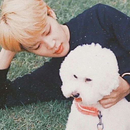 чимин, bts pets, jimin bts, bts jungkook, питомцы бтс чимин