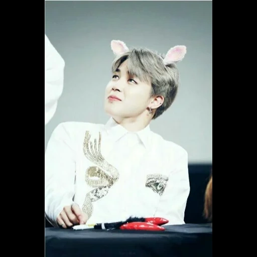 bts jimin, jimin bts, meninos de bangtan, bts jimin cat, grupo bts jimin