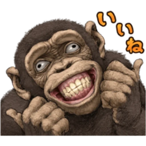 шимпанзе, про обезьян, обезьяна лицо, обезьяна улыбка, обезьяна иллюстрация