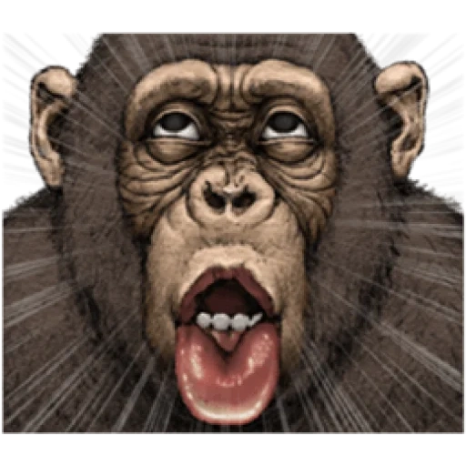 обезьяна, шимпанзе, обезьяна арт, чат бот обезьяна, смешные обезьяны