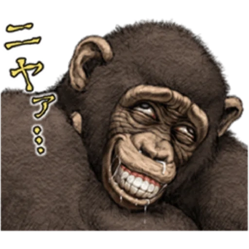 обезьяна, шимпанзе, шимпанзе лицо, трэп обезьяна, горилла кинг конг