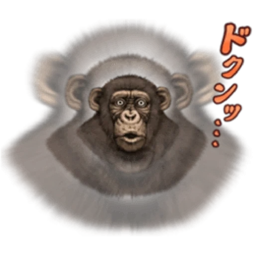 обезьяна, шимпанзе, обезьяна арт, обезьяна горилла, обезьяна иллюстрация