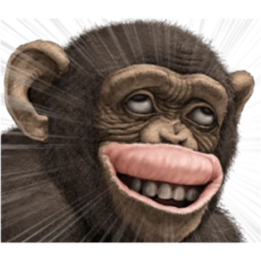 обезьяна, лицо шимпанзе, трэп обезьяна, обезьяна тупая, улыбка шимпанзе