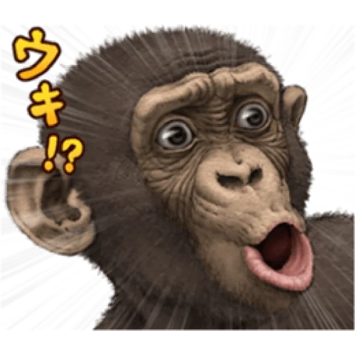 обезьяна, евген обезьяна, смешные обезьяны, обезьяна обезьяна, обезьяна мартышка