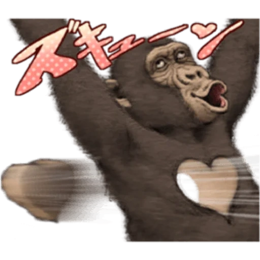 обезьяна, funky monkey, клип обезьянами, обезьяна смешная, мадригал обезьяна