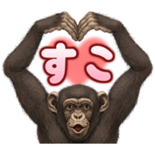 обезьяна, обезьяна макака, веселая обезьяна, обезьянка ватсапа, влюбленная обезьяна