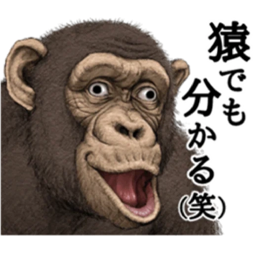 обезьяна, мартышка, иероглифы, шимпанзе ержан, рисунок обезьяны