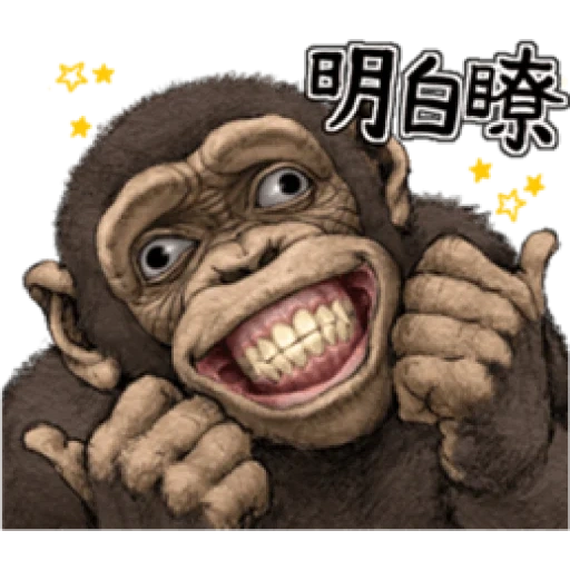 обезьяна, иероглифы, веселая обезьяна, рисунок обезьяны, обезьянка ватсапа