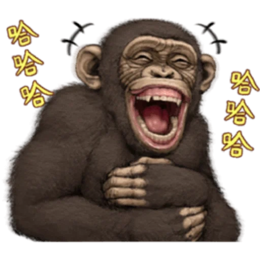 прикол, обезьяна, обезьянка ватсапа, анимированные обезьянки, сумасшедшая обезьяна бесплатно