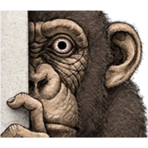 прикол, обезьяна, эскиз обезьяны, череп обезьяны, рисунок обезьяны