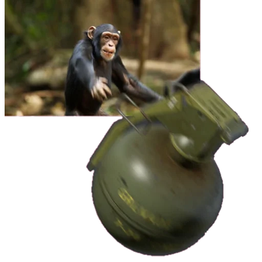 chupapi munyana, hg 85 hand grenade, hayeshka grenade, snap 109 grenade, mil-151-83 hand grenade