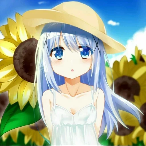 days, animation, sky animation, alka animation, kafu chino