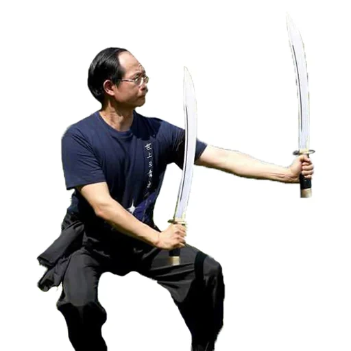 asiático, kung fu, libro de kung fu de ceja blanca, el último guerrero de tian tian bo, artes marciales chinas wing chun
