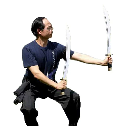 asia, kung fu, buku pak mei kung fu, hiroyuki sanada samurai terakhir, wing martial arts chun ching chun