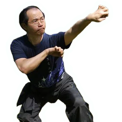kung fu, the people, taijiquan, daniel pesina, kung fu tonbe