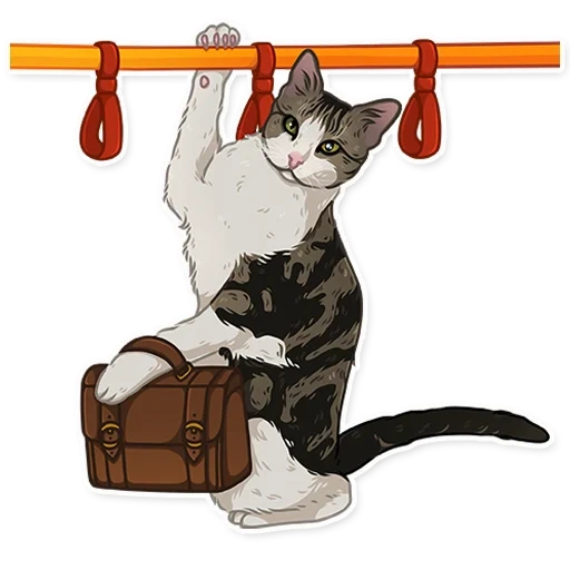 gatto, la diapositiva di kot, illustrazione di un gatto, animali domestici