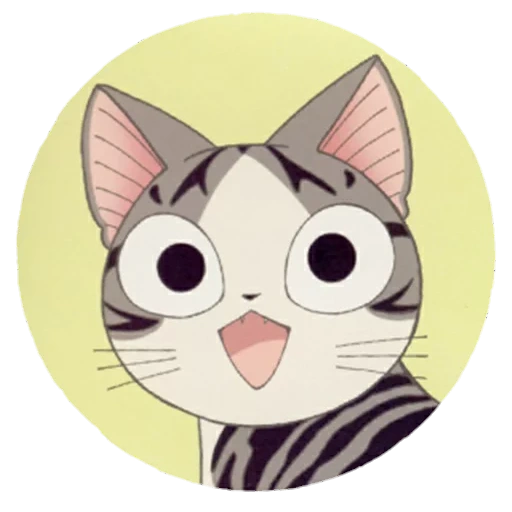 gatto, cat chiy, anime kotik chia, anime delle icone dei gatti, kawaii gatto oh gatto