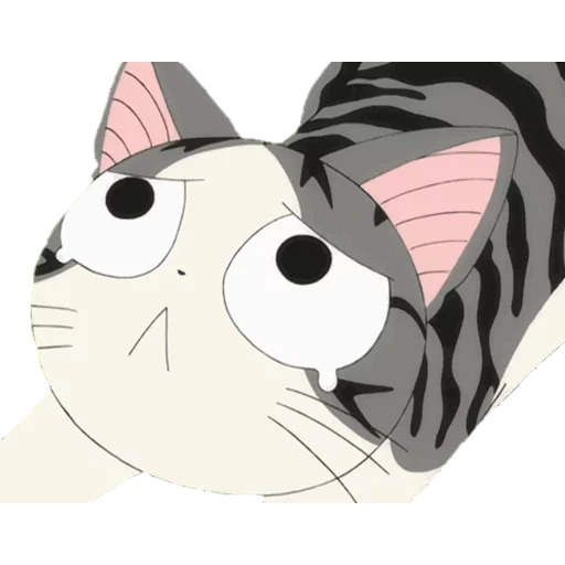 gatos de anime, anime cat chiy, anime kotik chia, doce casa de chi, lindos gatos de anime