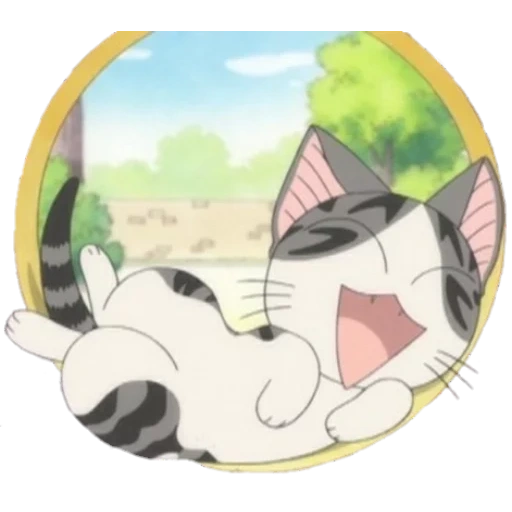 animación de gato, gatito de animación, gato de animación qi yi, chi's sweet home, lindo animación de gato