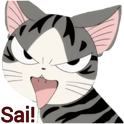 kucing, ya anime kucing, anime kucing aneh, anime cat chii, anime meme kucing