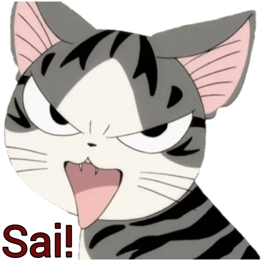 die katze, ja katzenanime, anime katze seltsam, anime cat qi, katze meme anime