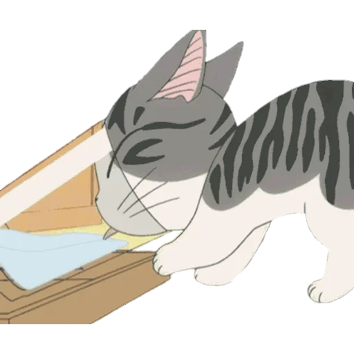 gato de animación qi yi, patrón de animación de gato, lindo hogar extraño segunda temporada, animación de gatito de satisfacción, chi's dulce hogar
