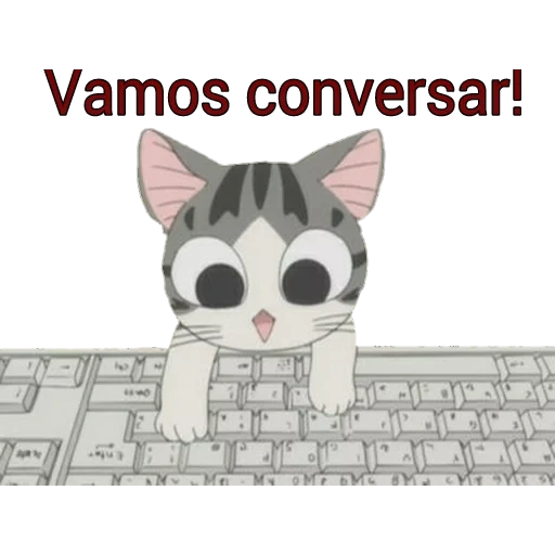 anime gato, anime fofo, casa fofa de chi, gatos de anime, gato de anime chia