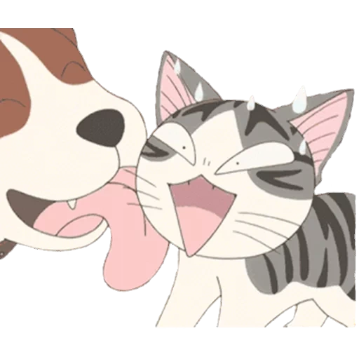 anime cat, gatti anime, gatti di anime cane, bella gatti anime, disegno di gatto anime