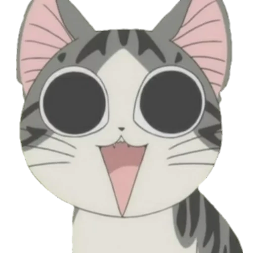 die katze anime, anime cat qi, anime adorable home, chi's sweet home, anime kätzchen chiya