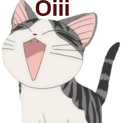 kitty anidab, doce casa de chi, lindos gatos de anime, anime kotik se alegra, anime de gatinho satisfeito
