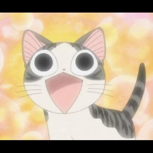 gato chiy, anime gato, gatos de anime, anime kotik chia, doce casa de chi