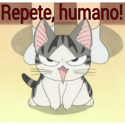 anime cat, кошка аниме, котики аниме, аниме котик чии, chi's sweet home