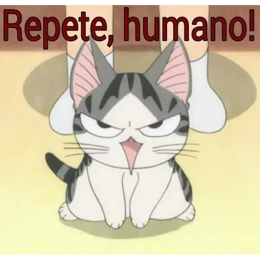 anime gato, anime gato, gatos de anime, anime kotik chia, doce casa de chi