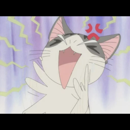 gatti anime, la dolce casa di chi, sweet home 1 episodio, anime kotik si rallegra, chi's sweet home chi a kocchi deau