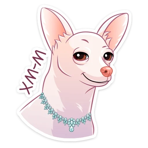 chihuahua, chihuahua dog