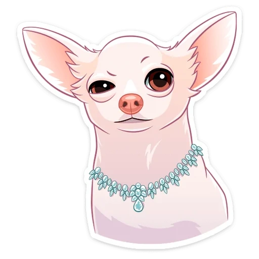 kemewahan, chihuahua, anjing chihuahua