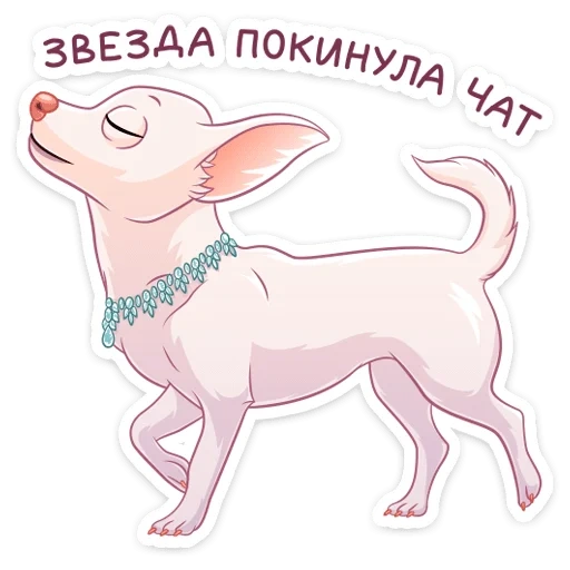 хлоя, чихуахуа, собака чихуахуа