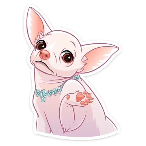 chloe, chihuahua, anjing chihuahua