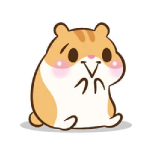 hamster, lovely, cute hamster