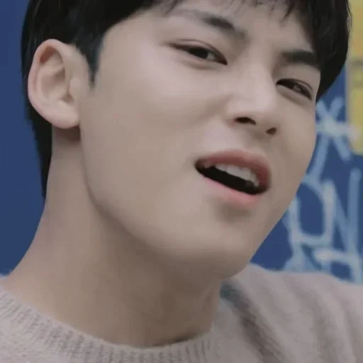 азиат, cha eun woo, тайские актеры, корейские актеры, mingyu seventeen