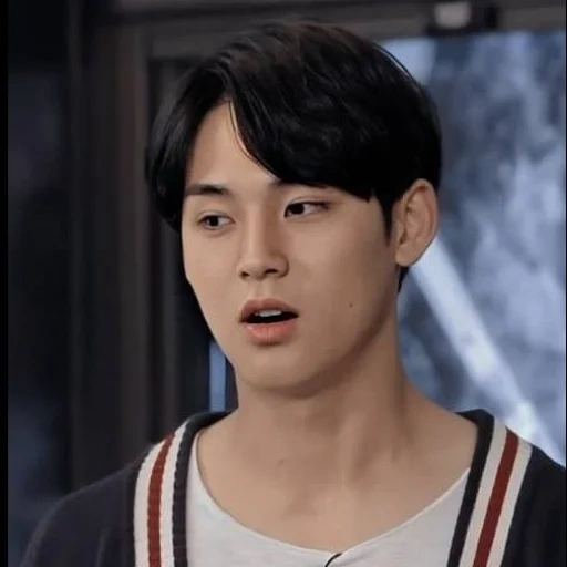 gli asiatici, gli attori, mingyu seventeen, attore coreano, liu hai idol boy