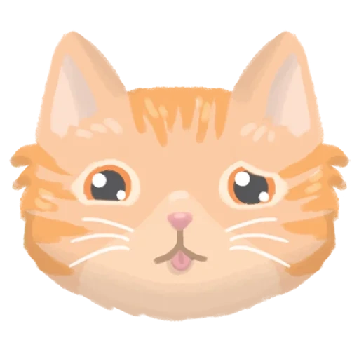 gato anaranjado, el hocico del gato, hocico de gatito