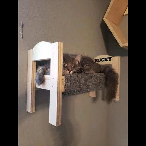 a cat, cat shelves, homemade cat, funny cats, cat ikei bed