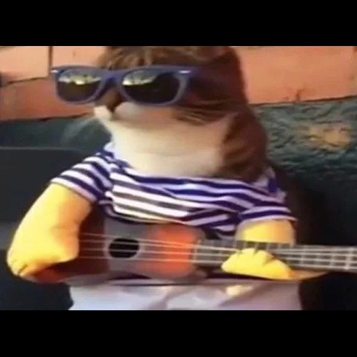 vídeo, kucing, egor letov, el asli, kucing dengan gitar